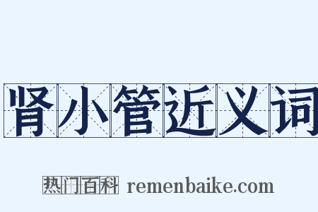 肾小管近义词是什么意思的图片
